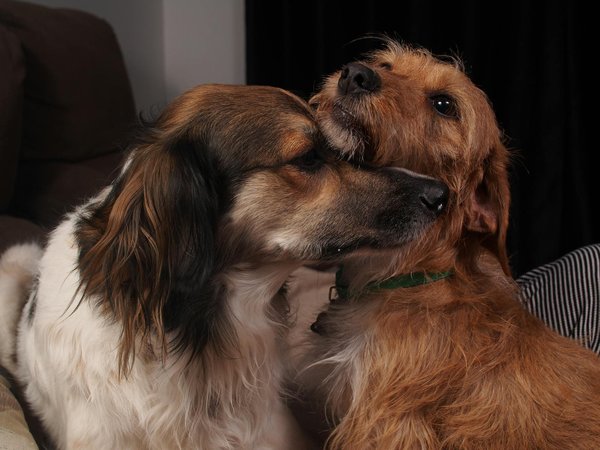 Wie kann man einen kleinen Balkon gemütlich gestalten?
